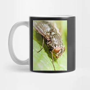 FLY IN THE OINTMENT Mug